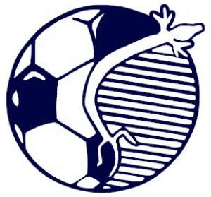 logo_NK_Postojna.jpg