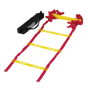 Zložljiva koordinacijska lestev